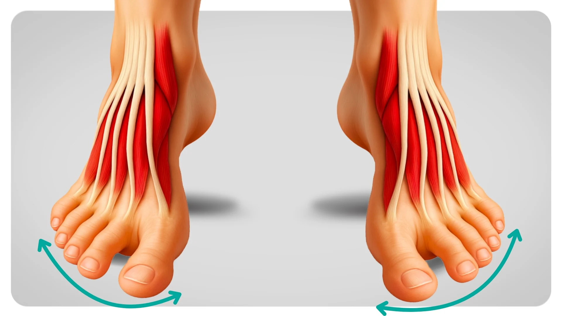 Strong Feet - Rebuild your foundation from the ground up