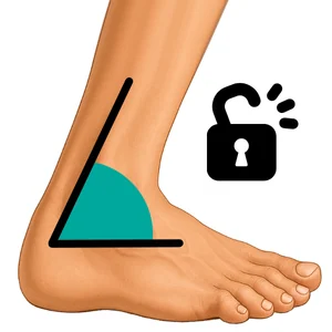 Ankle Mobility