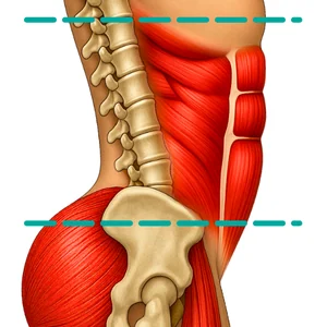 Core Stability